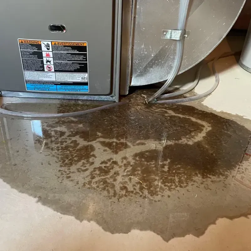 Appliance Leak Cleanup in Lisbon, ME